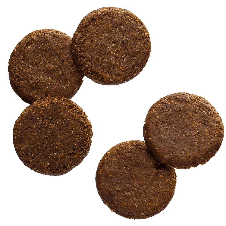 BASE Cookies® 可可味